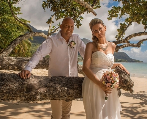 Hochzeit am Beau Vallon Portrait unter Baum Hochzeit am Beau Vallon Portrait unter Baum